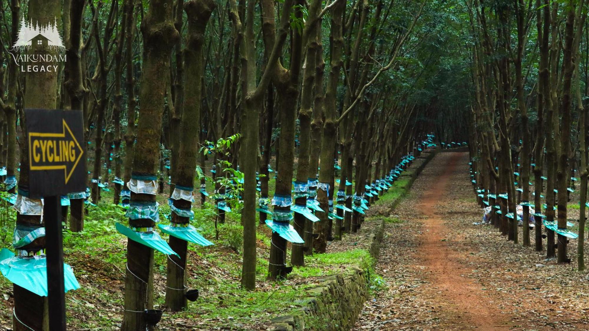 KaliyalVaikundam Legacy住宿加早餐旅馆 外观 照片